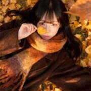 ヒメ日記 2025/11/27 11:30 投稿 夢川ここな【優等生】 素人専門　街角レディ