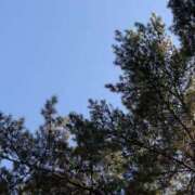 ヒメ日記 2025/10/24 12:54 投稿 江田島ゆの【新人期間】 素人専門　街角レディ