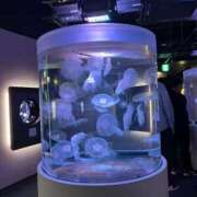 ヒメ日記 2025/11/10 10:33 投稿 江田島ゆの【新人期間】 素人専門　街角レディ