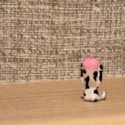 ヒメ日記 2025/10/30 13:18 投稿 清音わかば【業界未経験】 素人専門　街角レディ