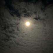 ヒメ日記 2025/11/05 21:33 投稿 清音わかば【業界未経験】 素人専門　街角レディ