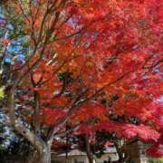 ヒメ日記 2025/11/30 18:03 投稿 呉まりな【優等生】 素人専門　街角レディ