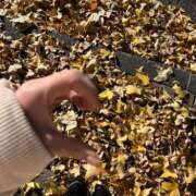 ヒメ日記 2025/12/30 02:33 投稿 呉まりな【優等生】 素人専門　街角レディ