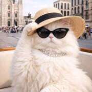 ヒメ日記 2026/02/23 22:30 投稿 宮崎みれい【優等生】 素人専門　街角レディ