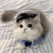 ヒメ日記 2026/03/02 12:20 投稿 宮崎みれい【優等生】 素人専門　街角レディ