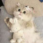 ヒメ日記 2026/03/03 15:00 投稿 宮崎みれい【優等生】 素人専門　街角レディ