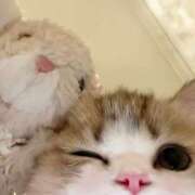 ヒメ日記 2026/03/13 18:50 投稿 宮崎みれい【優等生】 素人専門　街角レディ