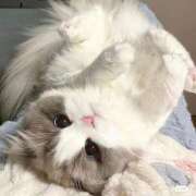 ヒメ日記 2026/03/17 10:10 投稿 宮崎みれい【優等生】 素人専門　街角レディ