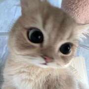 ヒメ日記 2026/03/19 18:40 投稿 宮崎みれい【優等生】 素人専門　街角レディ