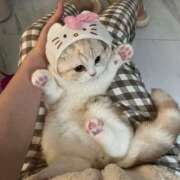 ヒメ日記 2026/03/22 19:20 投稿 宮崎みれい【優等生】 素人専門　街角レディ