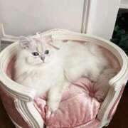 ヒメ日記 2026/03/30 12:30 投稿 宮崎みれい【優等生】 素人専門　街角レディ