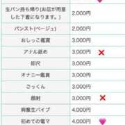 ヒメ日記 2025/11/25 14:30 投稿 春日井あみ【優等生】 素人専門　街角レディ