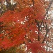 ヒメ日記 2025/12/07 11:48 投稿 春日井あみ【優等生】 素人専門　街角レディ