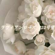 ヒメ日記 2026/02/22 17:10 投稿 城崎ゆら【優等生】 素人専門　街角レディ