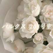 ヒメ日記 2026/03/01 23:00 投稿 城崎ゆら【優等生】 素人専門　街角レディ