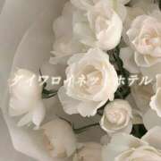 ヒメ日記 2026/03/20 03:20 投稿 城崎ゆら【優等生】 素人専門　街角レディ