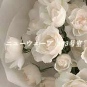 ヒメ日記 2026/03/27 08:50 投稿 城崎ゆら【優等生】 素人専門　街角レディ