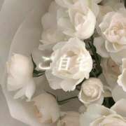 ヒメ日記 2026/04/08 11:40 投稿 城崎ゆら【優等生】 素人専門　街角レディ