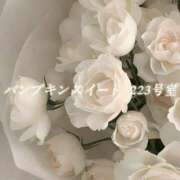 ヒメ日記 2026/04/11 07:40 投稿 城崎ゆら【優等生】 素人専門　街角レディ