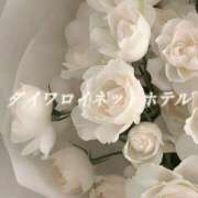 ヒメ日記 2026/04/21 08:20 投稿 城崎ゆら【優等生】 素人専門　街角レディ