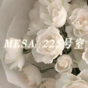 ヒメ日記 2026/05/03 06:30 投稿 城崎ゆら【優等生】 素人専門　街角レディ
