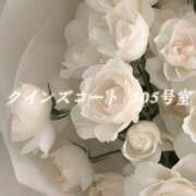 ヒメ日記 2026/05/10 07:10 投稿 城崎ゆら【優等生】 素人専門　街角レディ