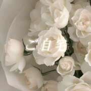 ヒメ日記 2026/05/16 08:20 投稿 城崎ゆら【優等生】 素人専門　街角レディ