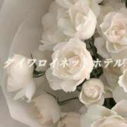 ヒメ日記 2026/05/22 08:20 投稿 城崎ゆら【優等生】 素人専門　街角レディ