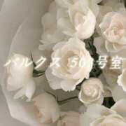 ヒメ日記 2026/06/14 07:10 投稿 城崎ゆら【優等生】 素人専門　街角レディ