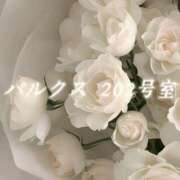 ヒメ日記 2026/07/21 08:20 投稿 城崎ゆら【優等生】 素人専門　街角レディ