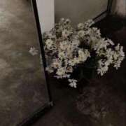 ヒメ日記 2025/11/22 01:33 投稿 三田せな【PREMIUM】 素人専門　街角レディ