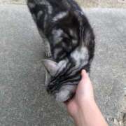 ヒメ日記 2026/02/22 12:00 投稿 広島わか 素人専門　街角レディ