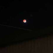 ヒメ日記 2026/03/08 00:20 投稿 広島わか 素人専門　街角レディ