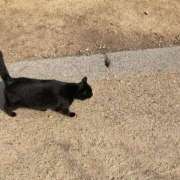 ヒメ日記 2026/04/08 20:20 投稿 広島わか 素人専門　街角レディ