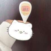 ヒメ日記 2026/04/14 11:20 投稿 広島わか 素人専門　街角レディ