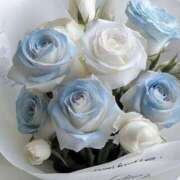 ヒメ日記 2025/12/06 15:18 投稿 芦屋りこ【優等生】 素人専門　街角レディ