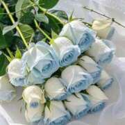 ヒメ日記 2025/12/09 15:03 投稿 芦屋りこ【優等生】 素人専門　街角レディ