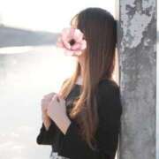 ヒメ日記 2026/02/20 13:00 投稿 芦屋りこ【優等生】 素人専門　街角レディ