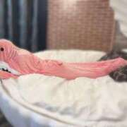 ヒメ日記 2025/12/22 22:03 投稿 隠岐かおるこ【優等生】 素人専門　街角レディ