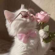 ヒメ日記 2025/11/06 13:48 投稿 朝空すずめ【PREMIUM】 素人専門　街角レディ