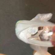 ヒメ日記 2025/11/04 20:48 投稿 高梁ほのか【業界未経験】 素人専門　街角レディ