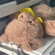 ヒメ日記 2026/02/20 22:00 投稿 高梁ほのか【業界未経験】 素人専門　街角レディ