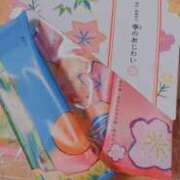 ヒメ日記 2025/12/11 23:34 投稿 坂本まゆ プランタン大塚