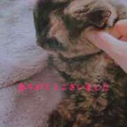 ヒメ日記 2026/01/22 12:58 投稿 坂本まゆ プランタン大塚