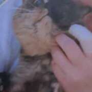 ヒメ日記 2026/01/31 21:52 投稿 坂本まゆ プランタン大塚