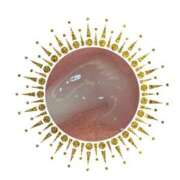 ヒメ日記 2025/10/28 20:59 投稿 中村みずき@魁！爆乳バイリンガル アナラードライ五反田店