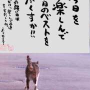 ヒメ日記 2025/11/03 10:48 投稿 一条 おふくろ