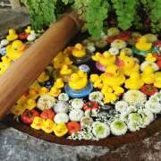 ヒメ日記 2025/11/16 08:09 投稿 一条 おふくろ