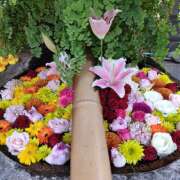 ヒメ日記 2025/12/01 10:30 投稿 一条 おふくろ