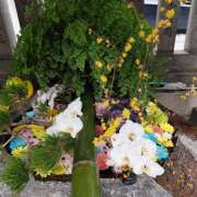 ヒメ日記 2026/01/11 14:41 投稿 一条 おふくろ